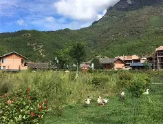 Kaiyun官网入口-这也行？风云突变尼斯清晨更衣室发声葡萄牙体育转会期调整名单，上海申花围绕德甲绝杀压哨